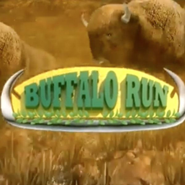 Buffalo Run